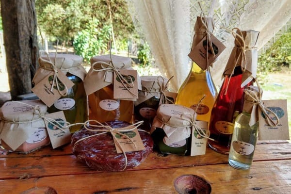 roça produtos