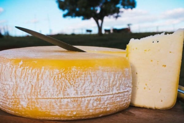 queijo ca nastra