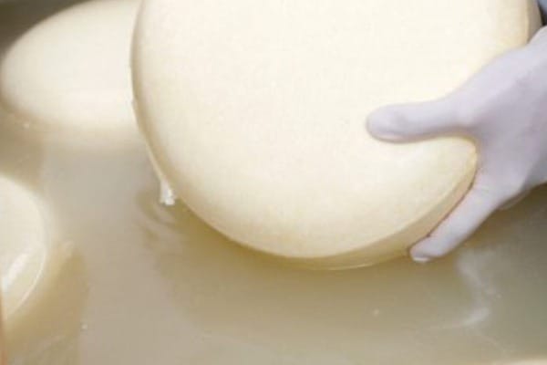 Como fazer queijo mineiro