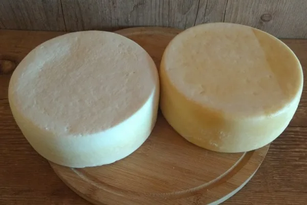 queijo já feito